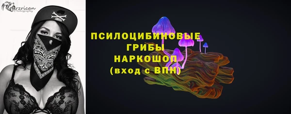 стаф Зеленодольск