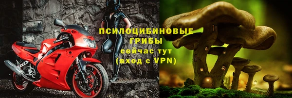 стаф Зеленодольск